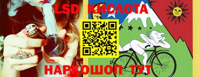шишки Кандалакша