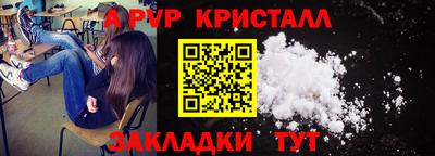 шишки Кандалакша