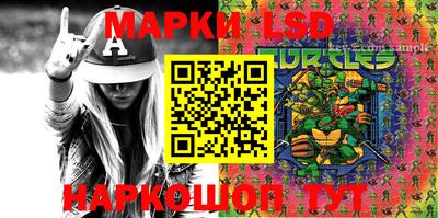 шишки Кандалакша