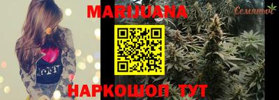 Альфа ПВП Камышлов