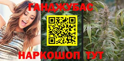 шишки Кандалакша