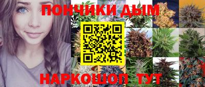2c-b Канаш
