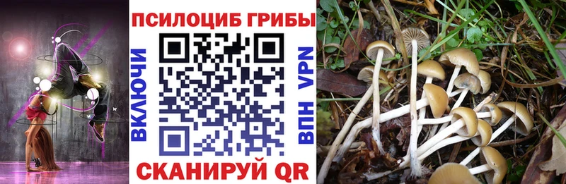 цены наркотик  Лениногорск  Галлюциногенные грибы ЛСД 