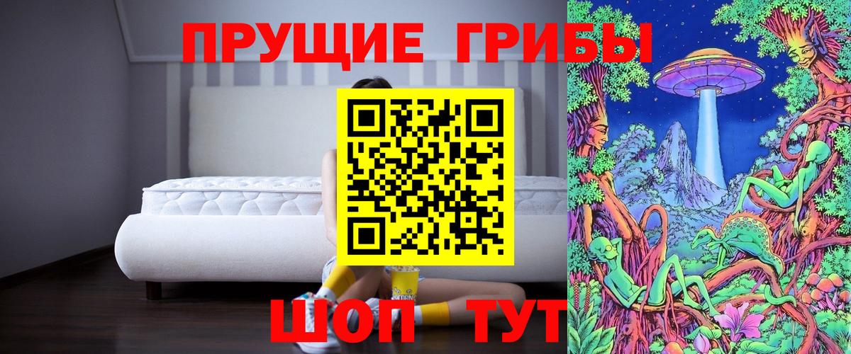 Галлюциногенные грибы MAGIC MUSHROOMS  Вход с VPN  где купить наркоту  Лениногорск 