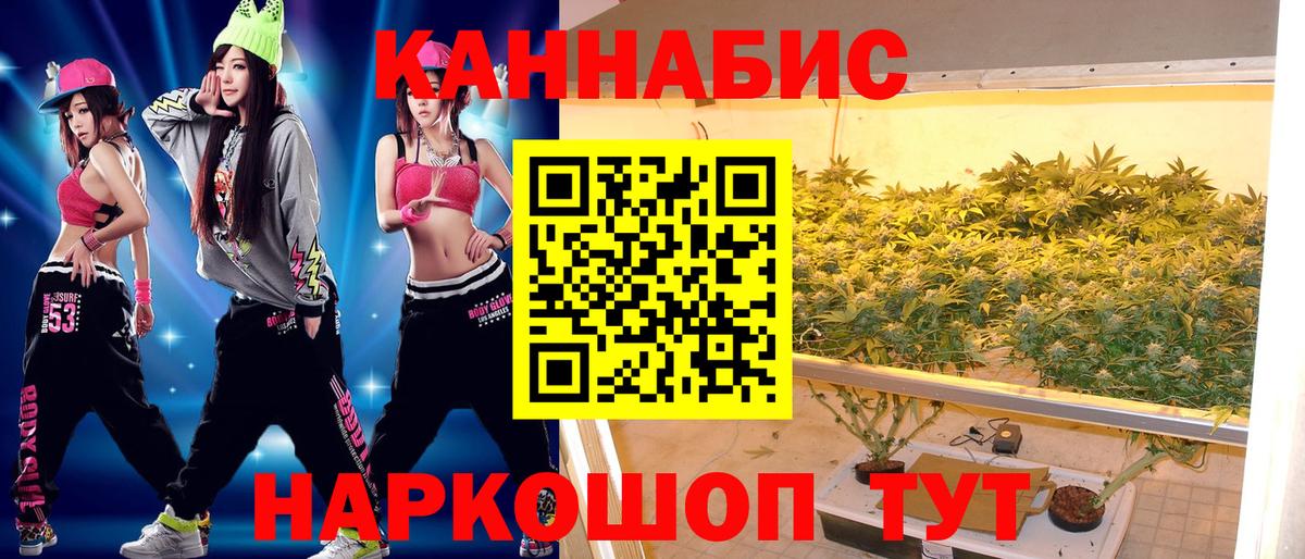 Шишки марихуана марихуана Лениногорск